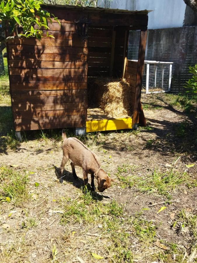 Casa Das Laranjeiras E Parque Infantil Азейтау Екстериор снимка